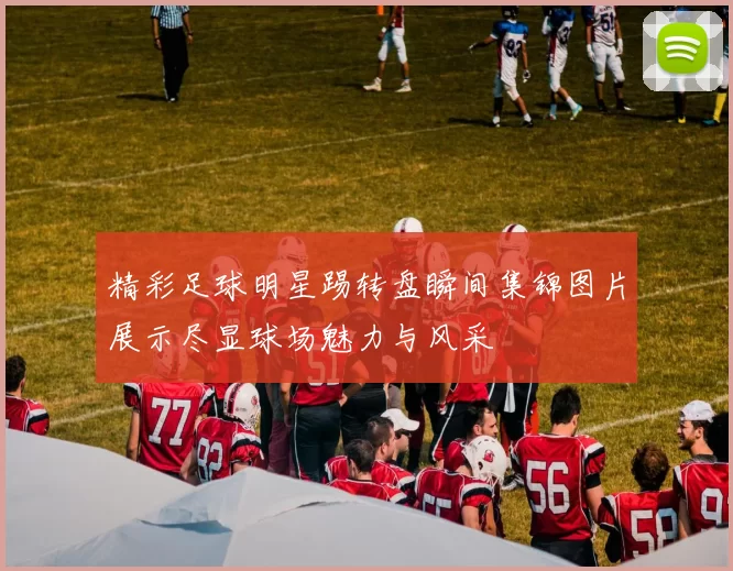 精彩足球明星踢转盘瞬间集锦图片展示尽显球场魅力与风采