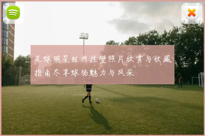 足球明星经典挂壁照片欣赏与收藏指南尽享球场魅力与风采