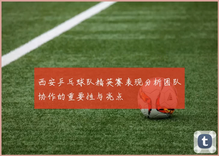 西安乒乓球队精英赛表现分析团队协作的重要性与亮点