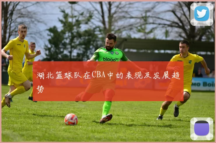 湖北篮球队在CBA中的表现及发展趋势