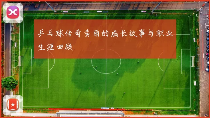 乒乓球传奇黄丽的成长故事与职业生涯回顾