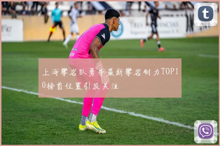 上海攀岩队勇夺最新攀岩耐力TOP10榜首位置引发关注