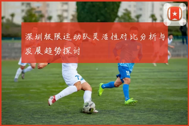 深圳极限运动队灵活性对比分析与发展趋势探讨