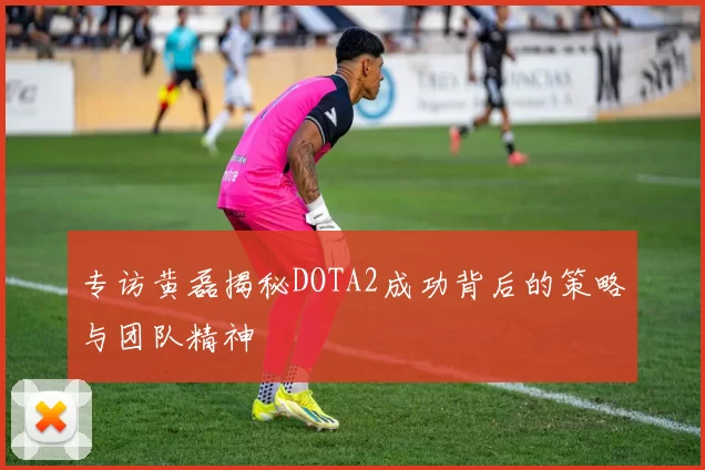 专访黄磊揭秘DOTA2成功背后的策略与团队精神