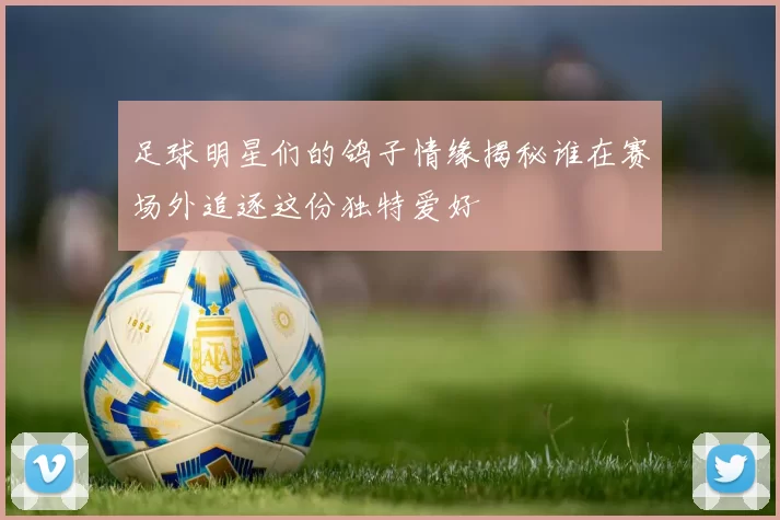 足球明星们的鸽子情缘揭秘谁在赛场外追逐这份独特爱好