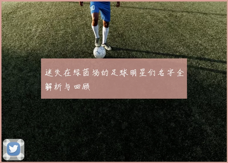 迷失在绿茵场的足球明星们名字全解析与回顾