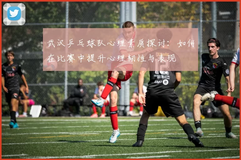 武汉乒乓球队心理素质探讨：如何在比赛中提升心理韧性与表现