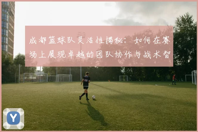 成都篮球队灵活性揭秘：如何在赛场上展现卓越的团队协作与战术智慧